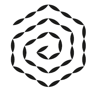 flower 6
