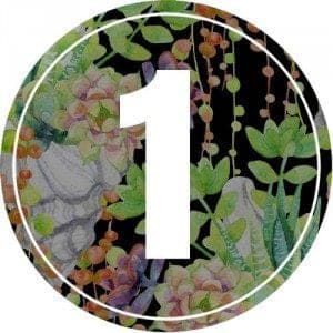 1-numerology