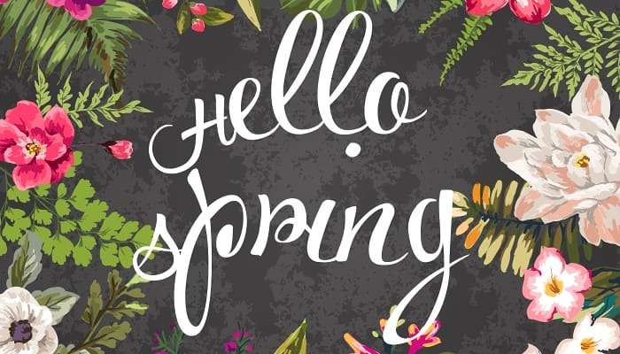 Spring Cleaning 101: Create Sacred Space That Empowers & Inspires With These 5 Questions