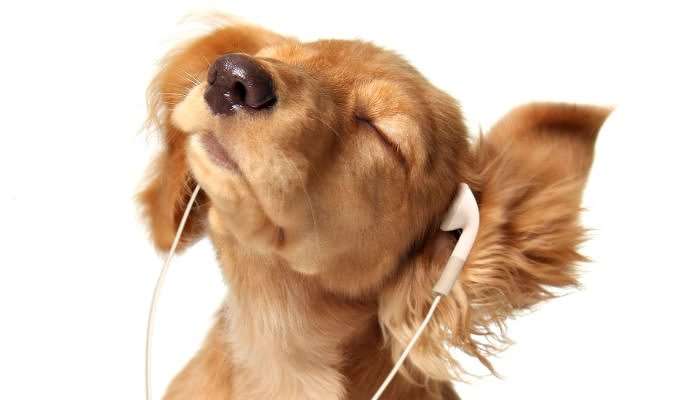 5 Ways To Use The Power Of Sound To Transform Your Reality