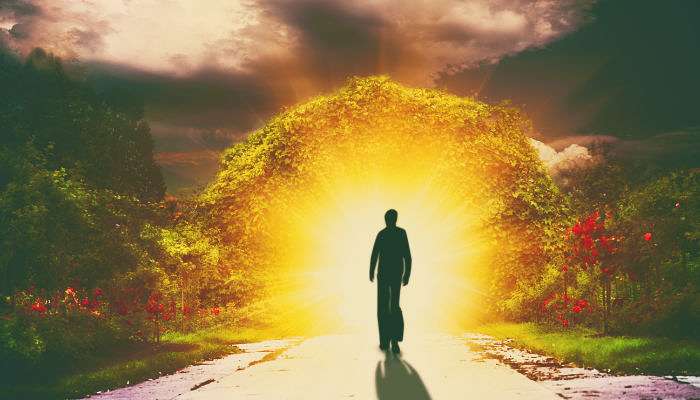 3 Simple Steps to Harness the Power of Your Dreaming Mind!