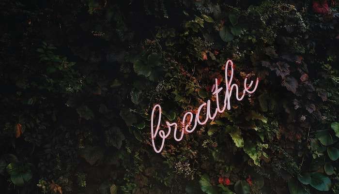 How To “Do” Mindfulness & Reap Its Wondrous Effects On Your Health & Happiness