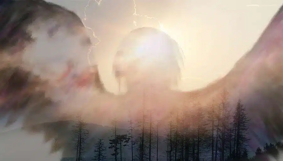 Everything Happens For A Reason: This True Story Proves Your Angels Are Always With You