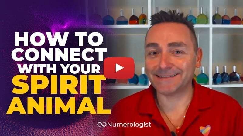 3 Undeniable Signs That Your Spirit Animal Is Trying To Connect With You (+Guided Meditation)