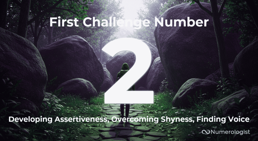 First Challenge Number 2
