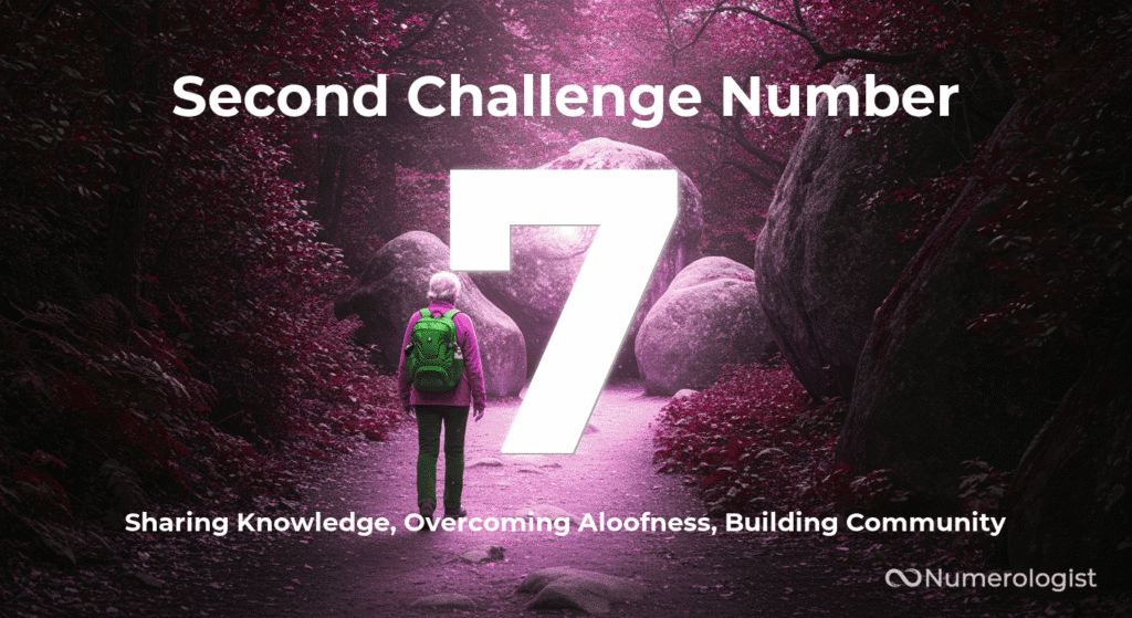 Second Challenge Number 7