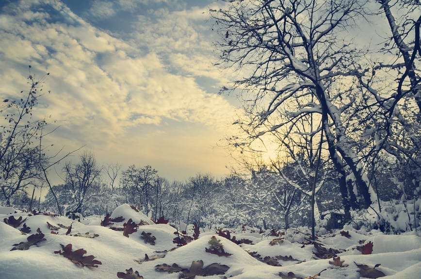 Winter Blues How to Create A Happy Holiday