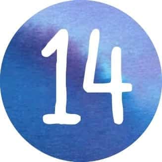 14 karmic number 14