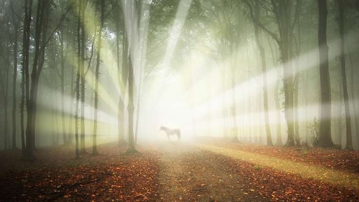 messages from the universe How To Receive Guidance From The Universal Spirit
