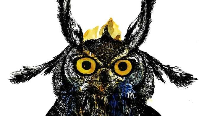 owl-spirit-guide-2 Your Spirit Circle: 6 Ways To Befriend Your Spirit Guides