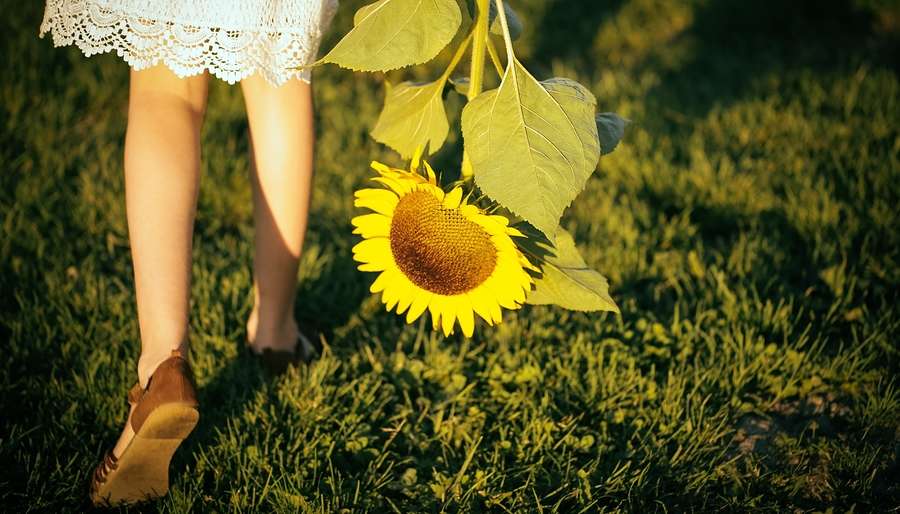 Lughnasadh Lughnasadh Girl Holding Sunflower