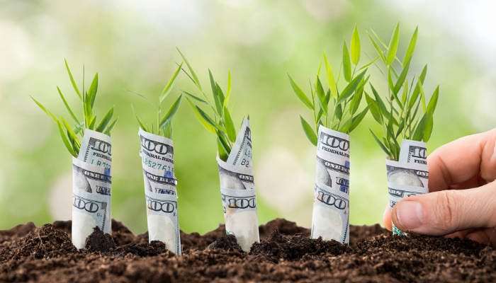 money manifesting How To Become BFFs With Your Money For More Wealth
