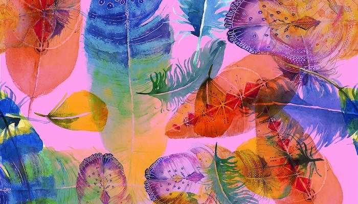 feather meanings What Different Color Feathers Mean & Their Angelic Message To You