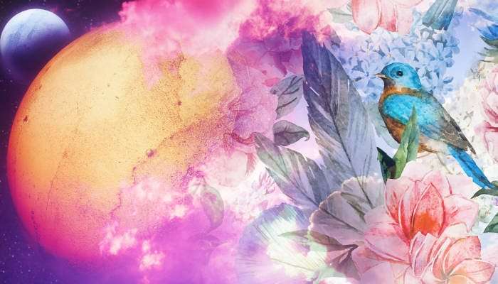 summer solstice In the Southern Hemisphere? Here’s How To Make Summer Solstice Magic For Blessings & Abundance