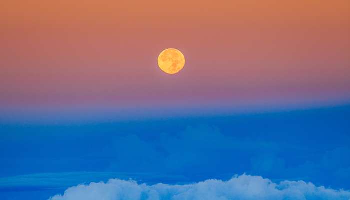 anton-repponen-99530 Mama Moon
– 3 Ways To Decode Your Moon Sign & How It Relates To Mother’s Day