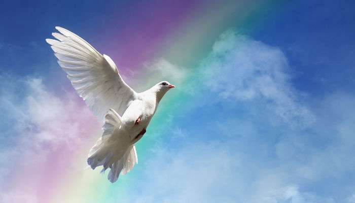 how-to-forgive Achieving Freedom Through The Power of Forgiveness