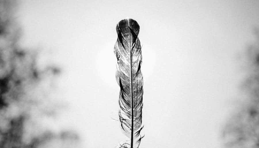 Angel-Feather 15 Clear Signs that Your Angels Want Your Attention: Angel Guide Messages