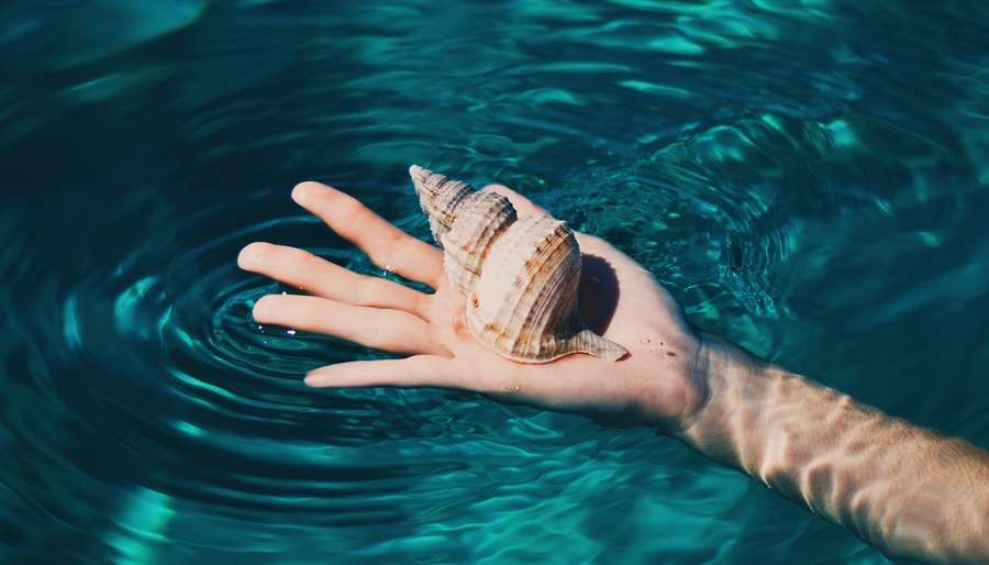 Cancer-Season Try These 7 Simple Heart-Opening Techniques for Cancer Season