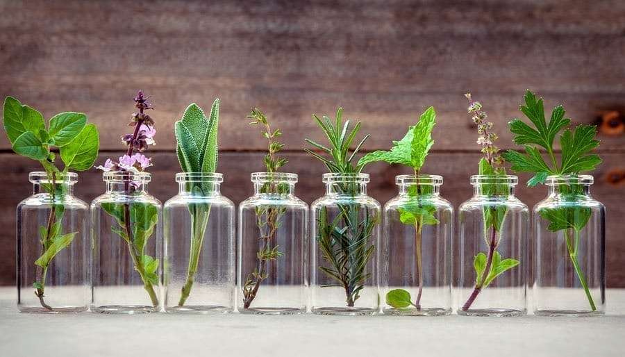 Herbal Remedies Women’s Health Listen Up Ladies! These Are the Herbal Remedies You Need To Radically Improve Your Health