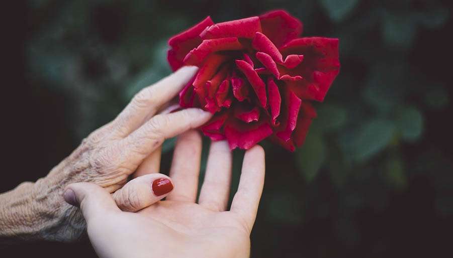 ancestors 10 Facts About Ancestral Clearing That’ll Make You Rethink Everything You Believe About Yourself