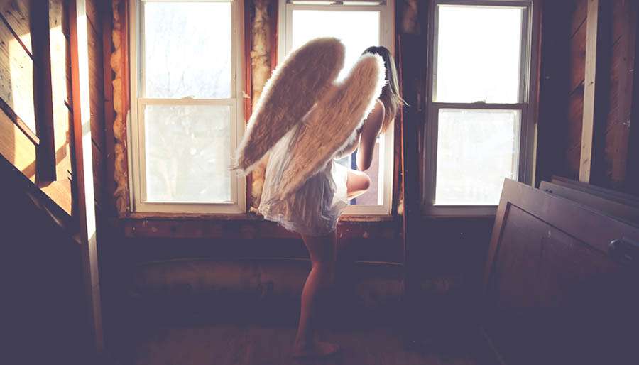 pink-angel-f pink feather angel sign