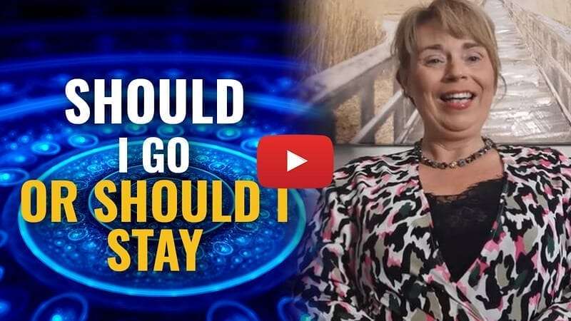 should i stay f (1) Should I Stay or Should I go? Discover How To Let Your Soul Guide You To The Right Decision!