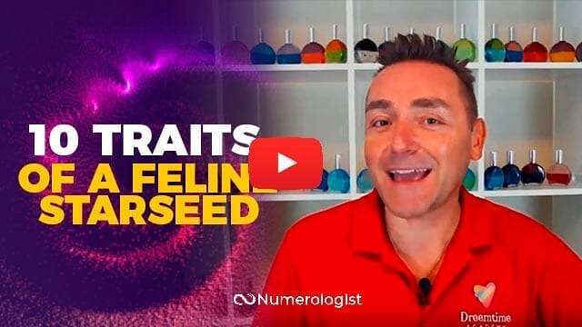 10 Surprising Traits Of A Feline Starseed (&Why You Might Be One Of Them!)
