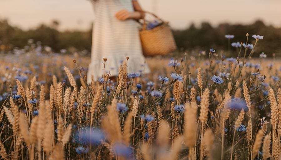 Herbs for Shadow Work These 5 Everyday Herbs Will Make Your Deep Dive into Shadow Work A TON Easier (and More Effective)