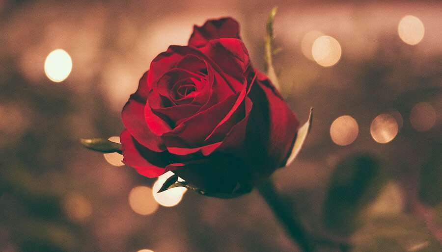 246 day The Real Meaning of Angel Number 246 (& How You Can Use It For Lasting Love)