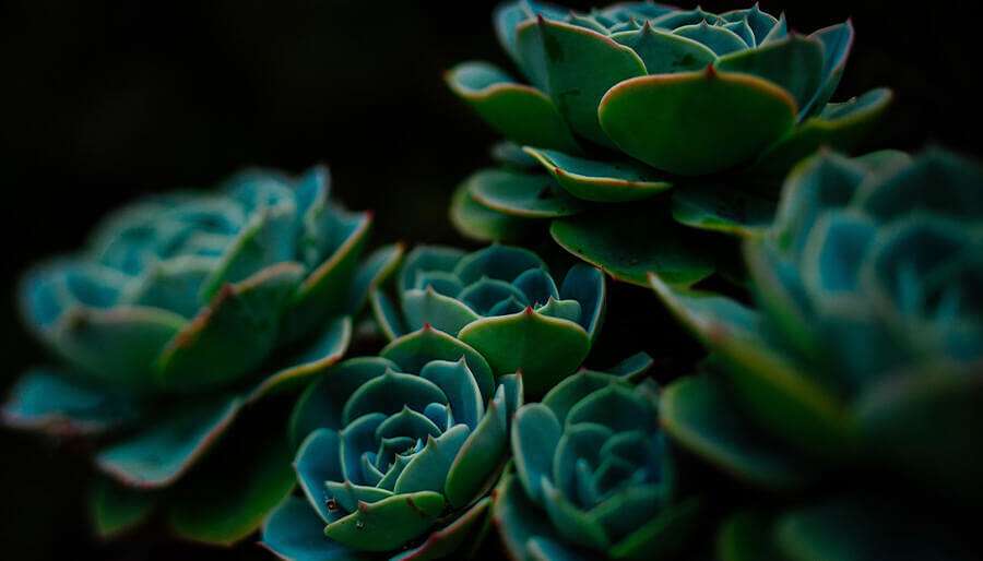 sacred geometry 8 Scared Shapes You Need To Know To Deepen Your Understanding Of The World Around You