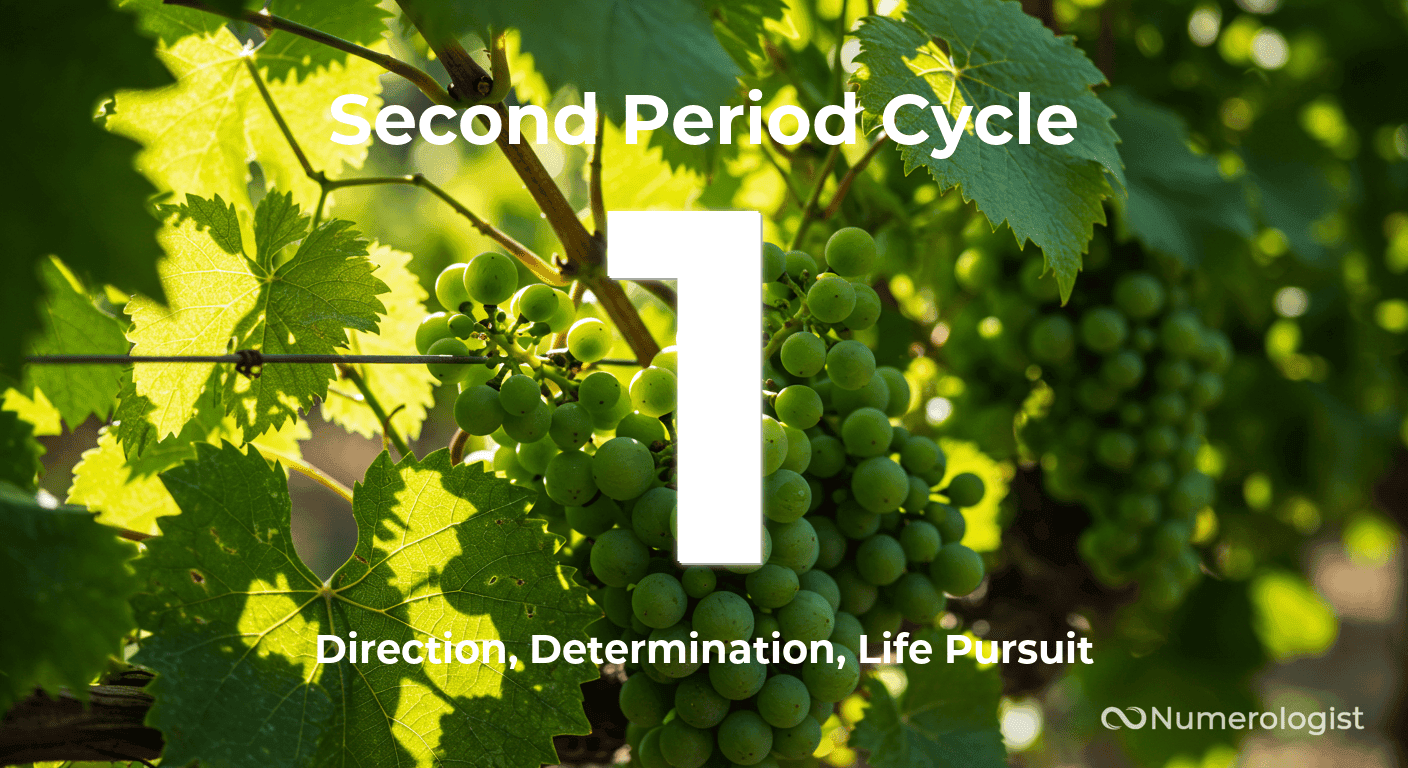 Second Period Cycle 1 Second Period Cycle 1