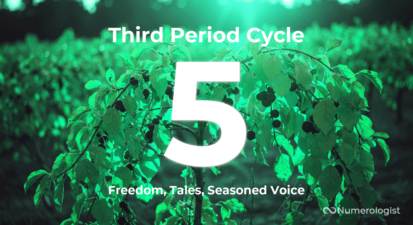 Third Period Cycle 5 Third Period Cycle 5
